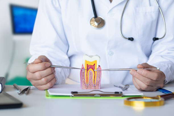 Best Emergency Broken Tooth Repair in Ballenger Creek, MD
